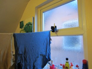 An unused leash has many uses