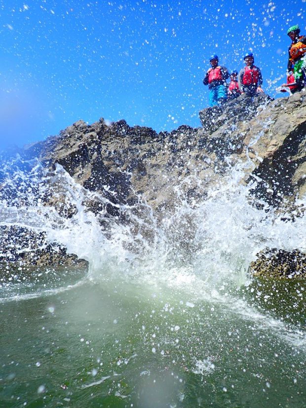 13325515_1190258221018409_6748597201908786712_n