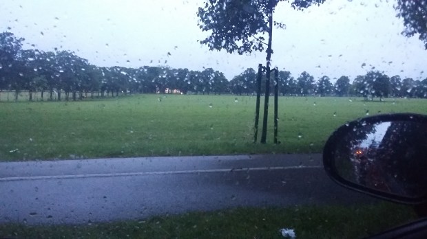 Run 530 UK Leicester